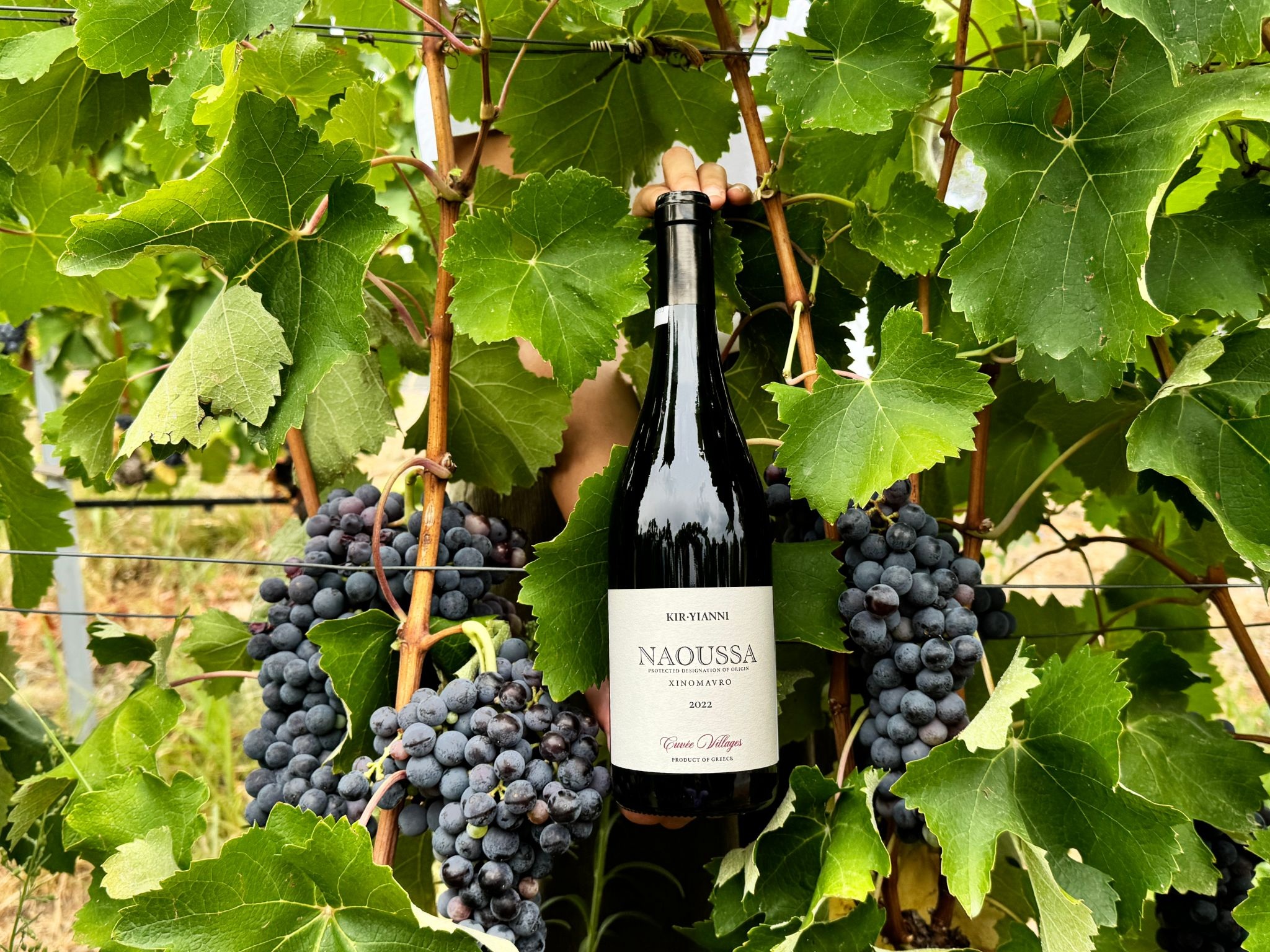 Avtomobil korgazmasida striptiz