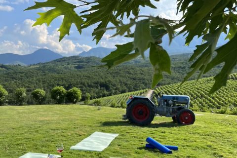 Ένα απόγευμα με κρασί & Yoga στο Κτήμα Κυρ-Γιάννη