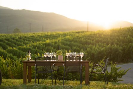 Kir-Yianni tasting at the vineyard in Naoussa