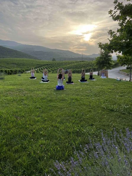 Ktima Kir-Yianni Naoussa outdoor yoga in the vines